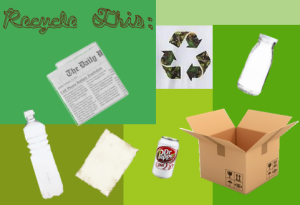Some items that can be recycled.