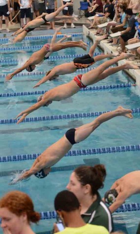 The swim teams dives into the pool at the start of the race. 