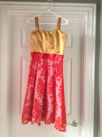 This was Howell's homemade dress for the 2013 homecoming dance. 